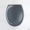 Toiletzitting Eisl Super Slim Softclose Quick Release RVS Scharnieren Donker Grijs 1 Toiletzitting Eisl Super Slim Softclose Quick Release RVS Scharnieren Donker Grijs -Badkamer Thuis 9200000078356597