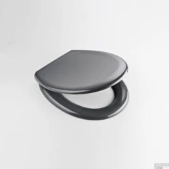 Toiletzitting Eisl Super Slim Softclose Quick Release RVS Scharnieren Donker Grijs -Badkamer Thuis 9200000078356597 2
